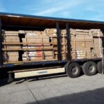 Mario Forest Gmn Srl