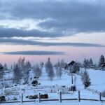 Mărişel Tiny house