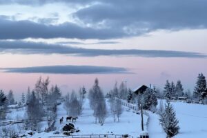 Mărişel Tiny house