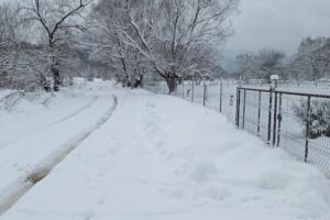 MCStramba Camping Place Bbq