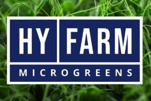 Microplante Iasi by Hy Farm Microgreens
