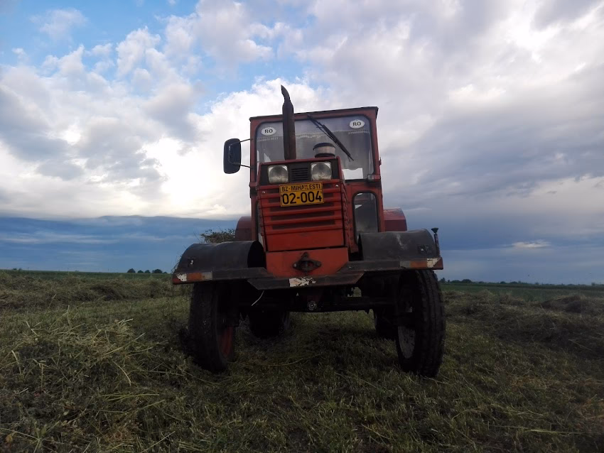 Mih cereal distrib srl