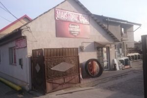 Mihoc Trandafir Cons