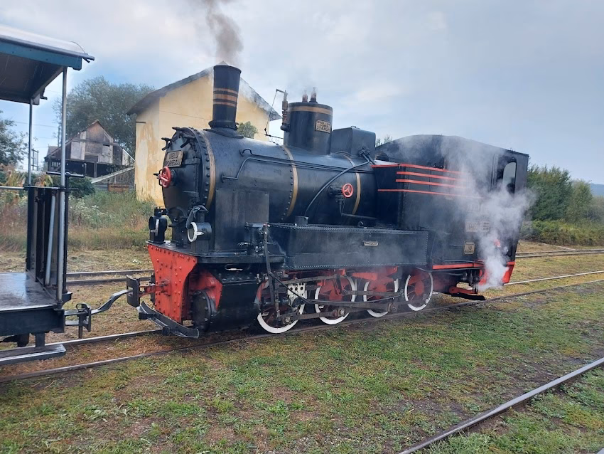 Mocănița de pe Valea Hârtibaciului gara Hosman