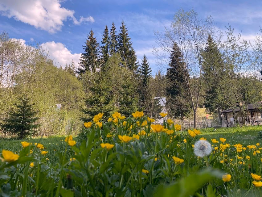 Mountain View Accommodation