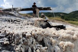 Muscelu Cărămănești