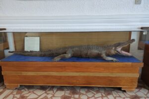 Muzeul Apelor Mihai Bacescu