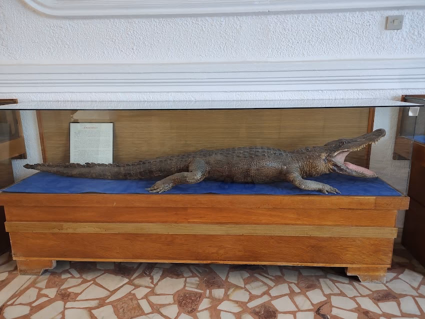 Muzeul Apelor Mihai Bacescu