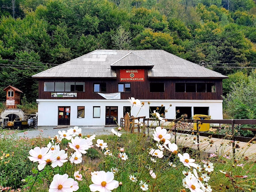 Muzeul Buciumanilor