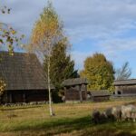 Muzeul Satului Maramureșean