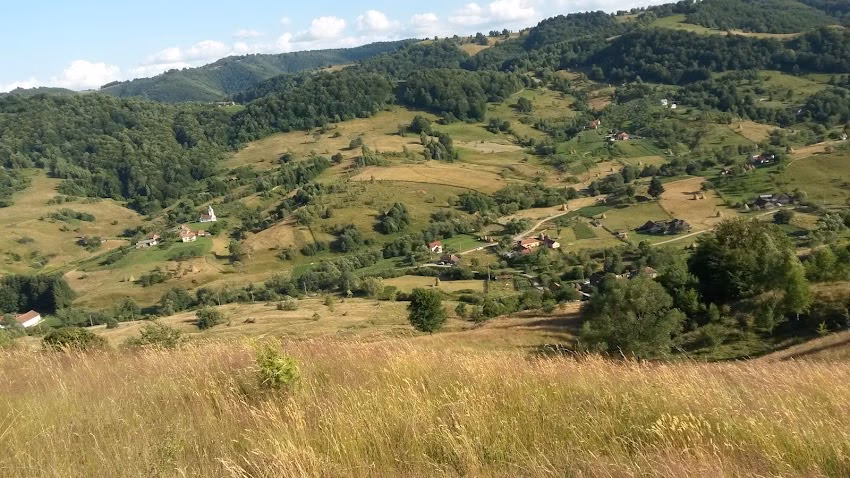 Negoiu