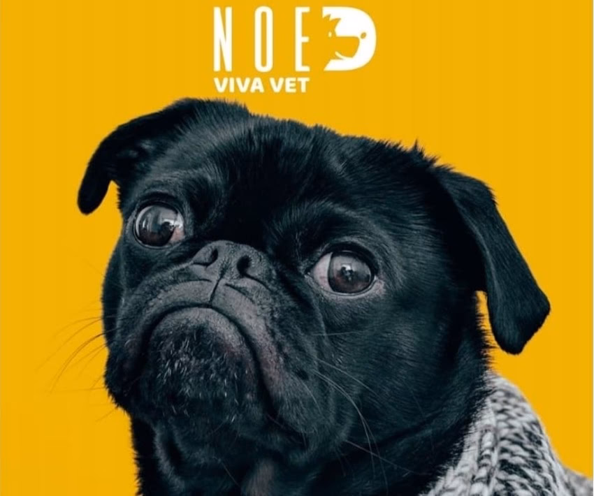 Noe Viva Vet Cabinet veterinar Lunca Cetatuii