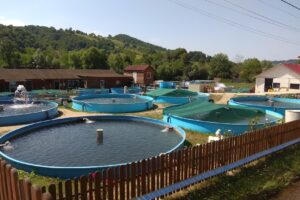 Novarainvest Păstrăvăria RoșiaBihor