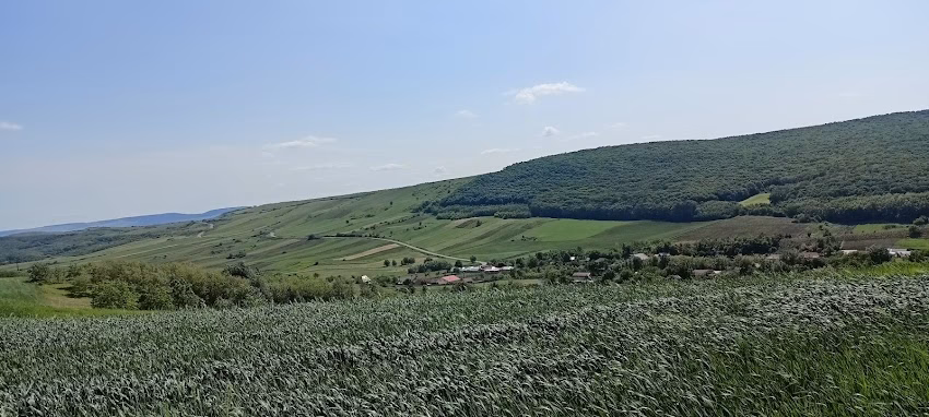 Obârșenii Lingurari