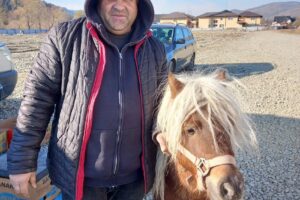 Oborul târg în fiecare marţi