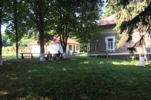 Ocolul Silvic Niculițel