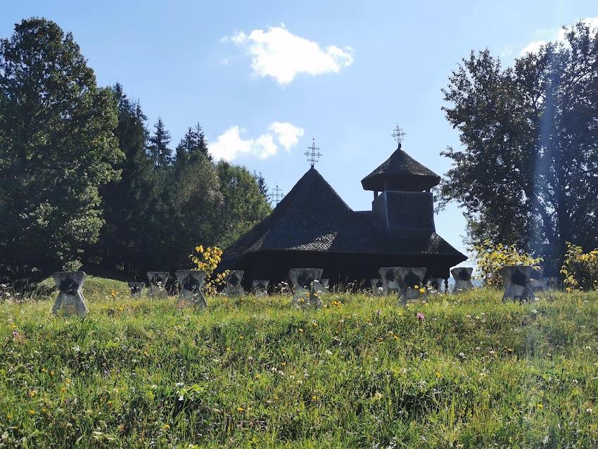 Ocolul Silvic Tulgheș