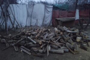 Ocolul Silvic Vişeu