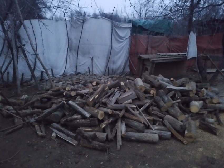 Ocolul Silvic Vişeu