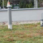 Odu Acoperișuri si fațade verzi