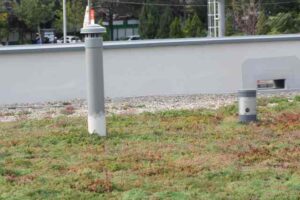 Odu Acoperișuri si fațade verzi