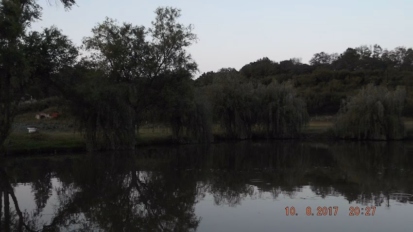 Oficiul Poştal Vorona