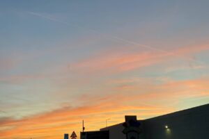 Old Sealynx Automotive România nou Sfc Solutions