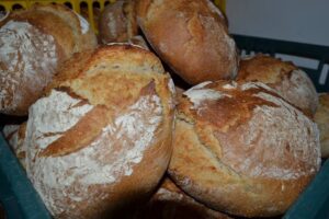 Oltina Impex Prod Com Srl