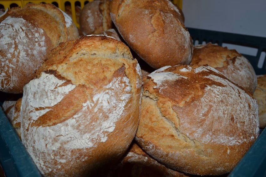 Oltina Impex Prod Com Srl