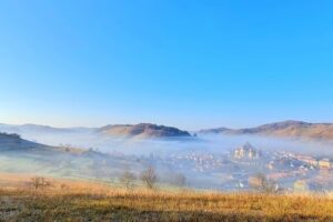 Pădure Biertan Copşa Mare