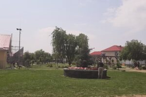 Parc Buruienesti