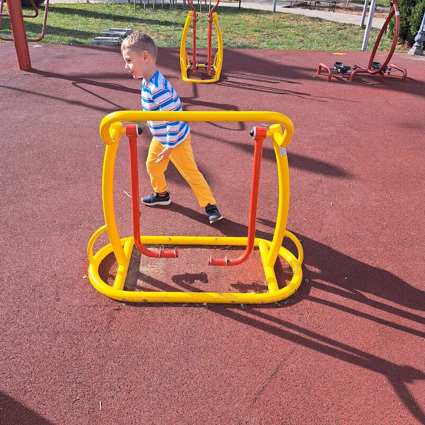 Parc Chișoda