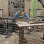 Parc de Agrement Moara de Vânt