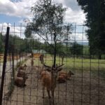 Parc de Agrement Moara de Vânt