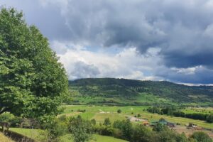 Parc de animale domestice şi sălbatice pentru copii