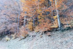 Parcare Cascada Urlătoarea