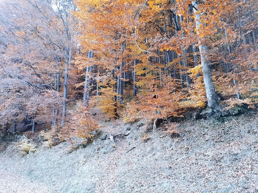 Parcare Cascada Urlătoarea