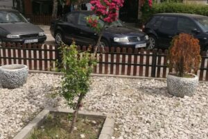 Parcul Central din Comuna Berca