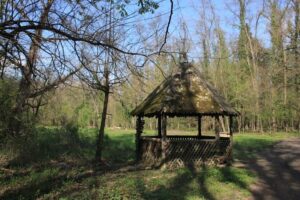 Parcul Dendrologic Bazoș