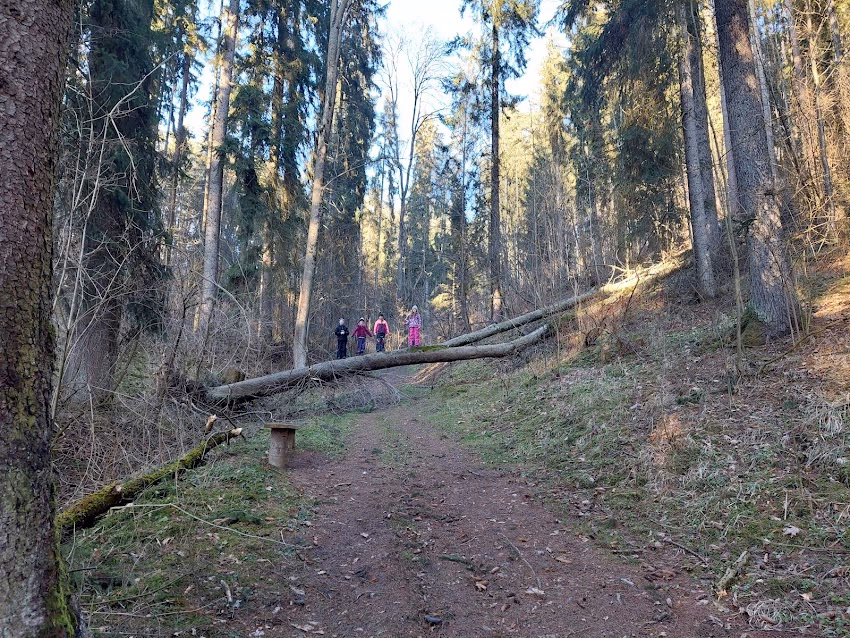 Parcul Grădina Csiki