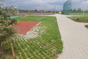 Parcul Industrial Sfantu Gheorghe Sepsiszentgyorgyi Ipari Park