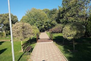 Parcul mare din Chirnogeni