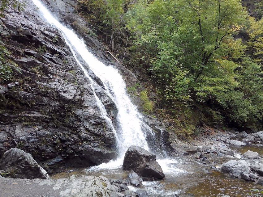 Parcul Național Cozia