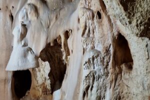 Parcul Natural Apuseni