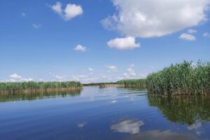 Parcul Natural Comana