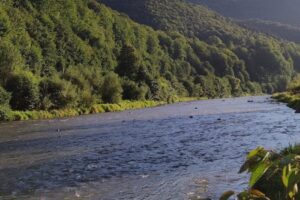 Parcul Natural Defileul Mureșului Superior