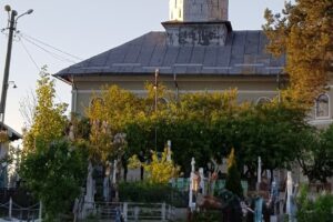 Parohia Intrarea în biserică a Maicii Domnului Mrenești