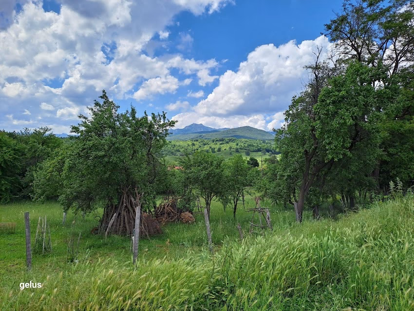 Parohie Scaueni Berislăvești
