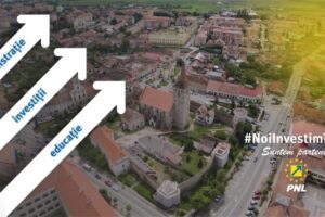 Partidul Național Liberal Alba