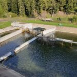 Pastravaria Bistra Montana